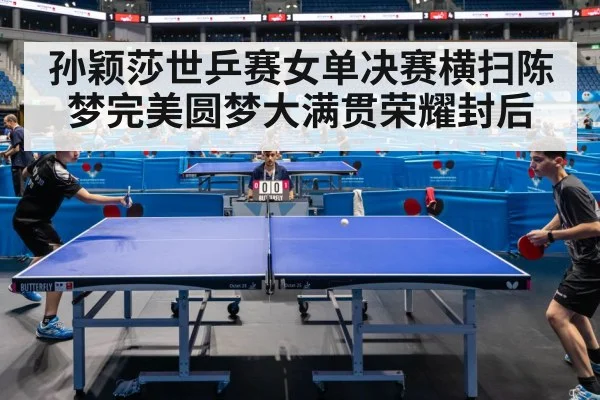 table tennis final match