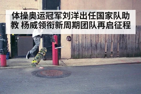 体操奥运冠军刘洋出任国家队助教 杨威领衔新周期团队再启征程